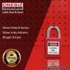 ONEBIZ Ultrashort Steel Shackle Safety Padlock Red OB 14-BDG61 6D×20H mm steel shackle D type KD with 2 key